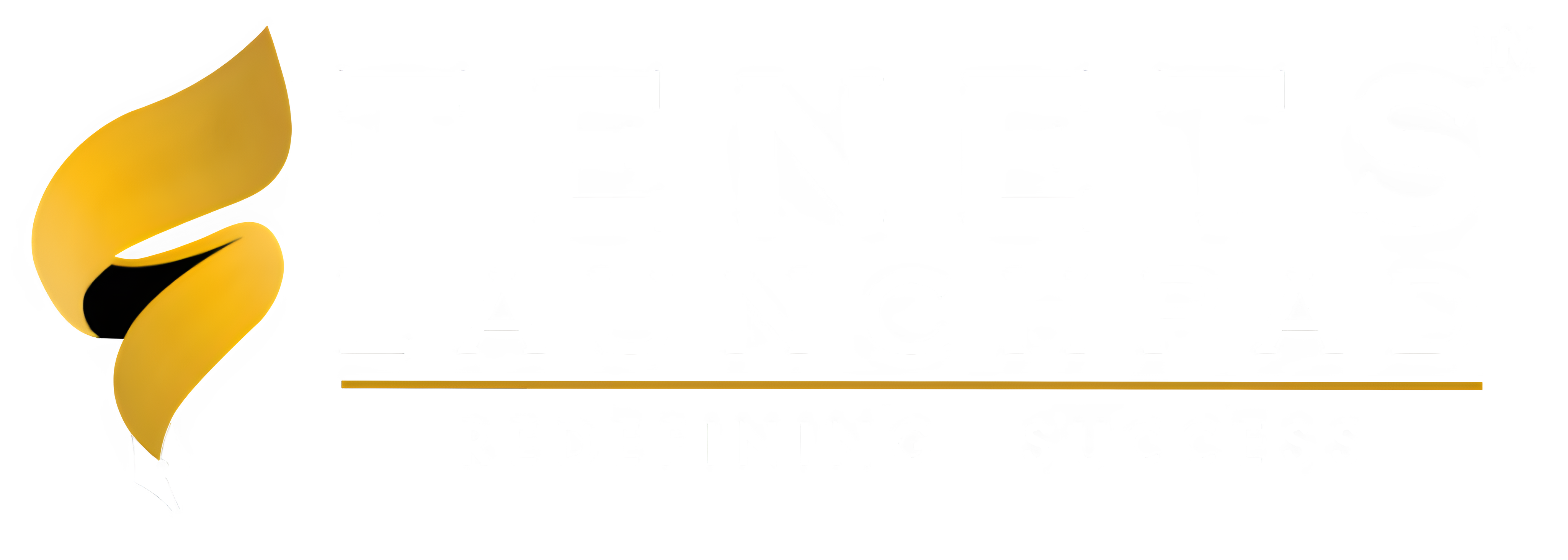 TENETS LaunchPad Logo