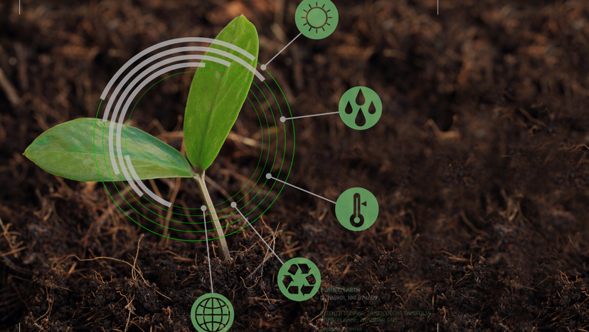 Biological Sciences program illustration