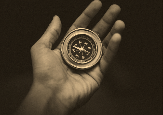 Guiding Principles & Values